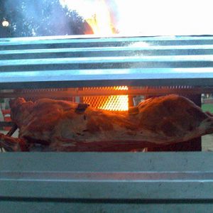Ox on spit