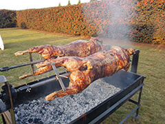 Double Spit Braai Units For Hire or Catered Service